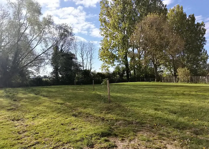 Foret De Nieppe